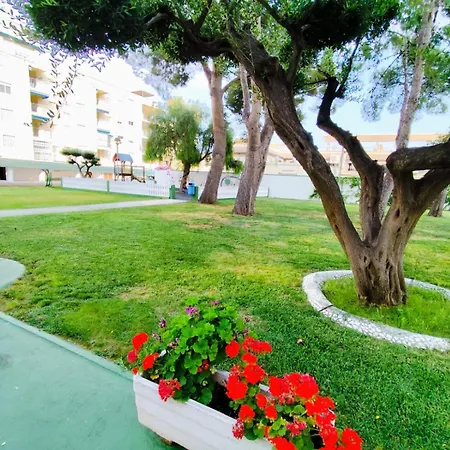 Apartamento Milion Destiny Oromar Seis Oropesa del Mar